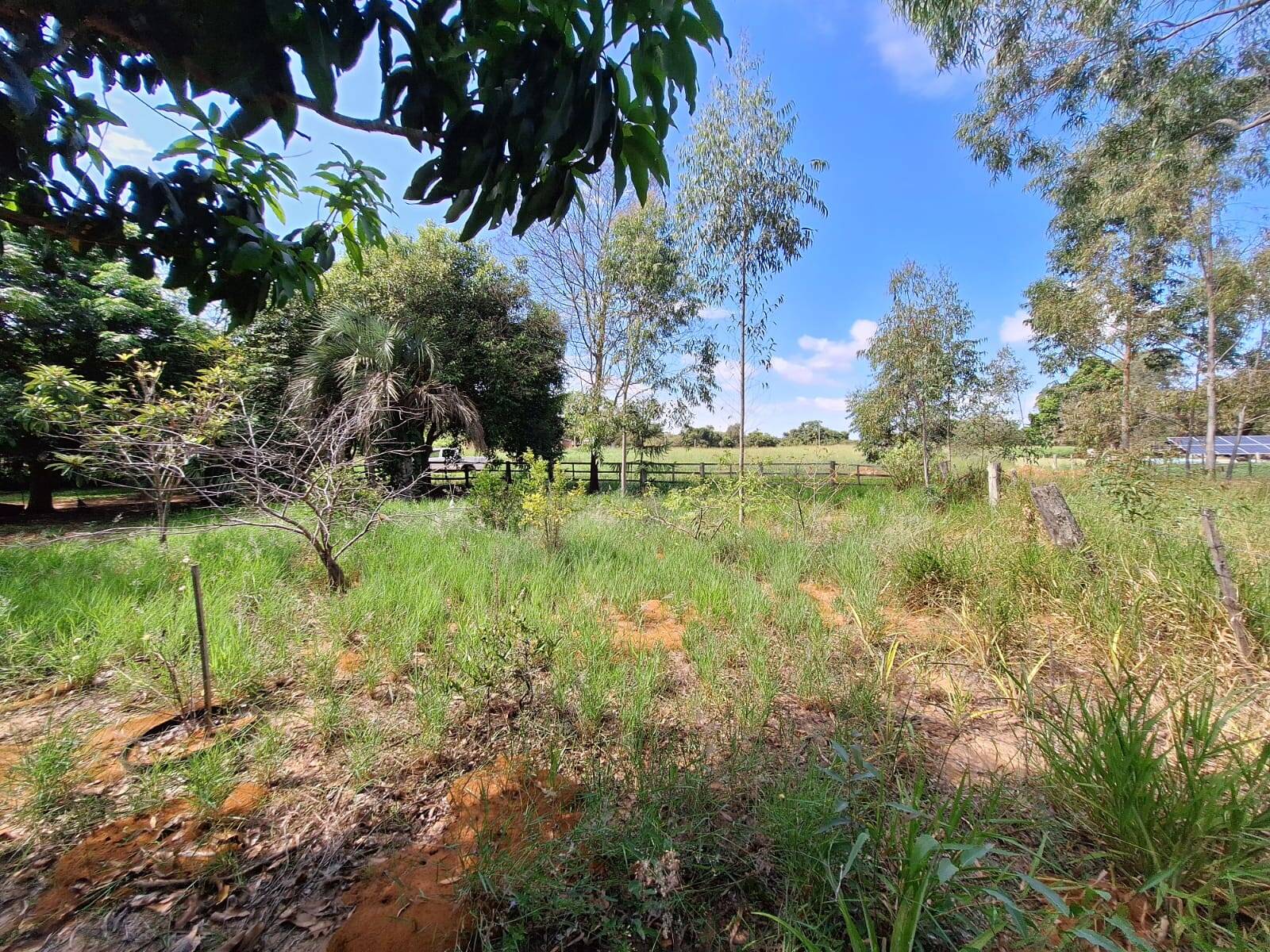 Sítio à venda com 3 quartos, 10500m² - Foto 9