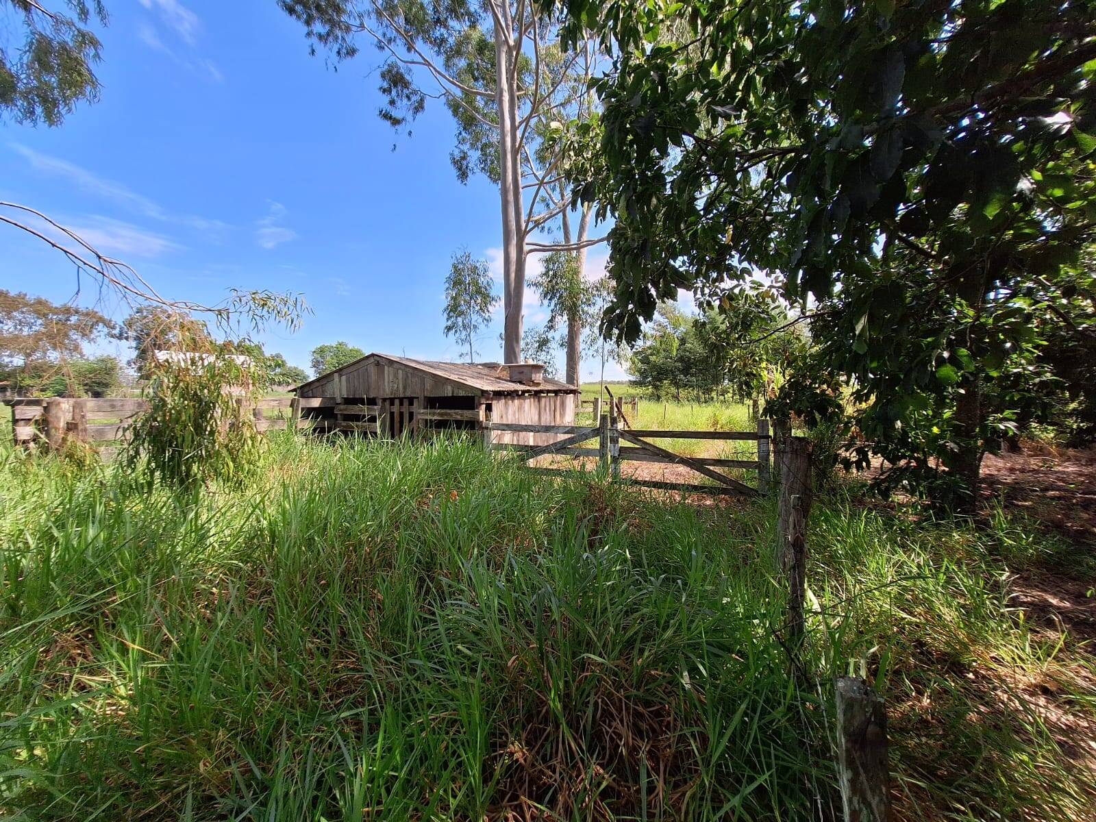 Sítio à venda com 3 quartos, 10500m² - Foto 10