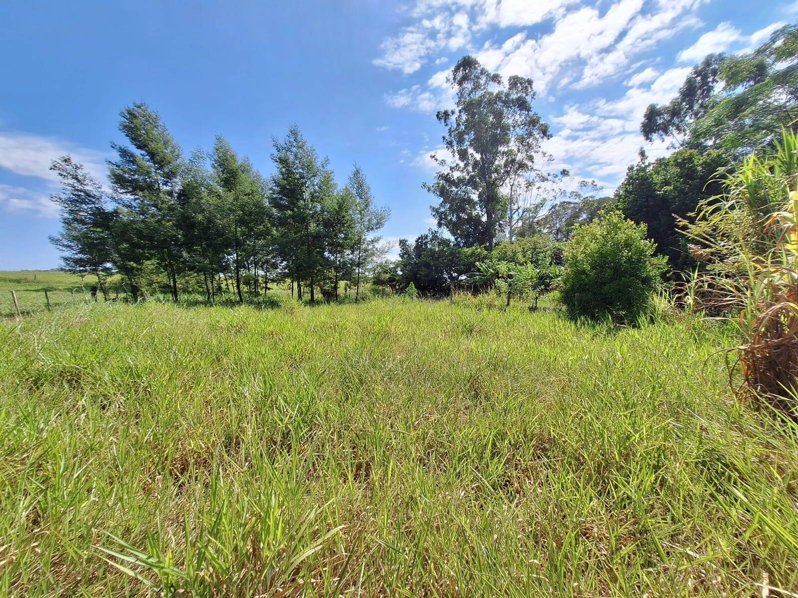 Sítio à venda com 3 quartos, 10500m² - Foto 11