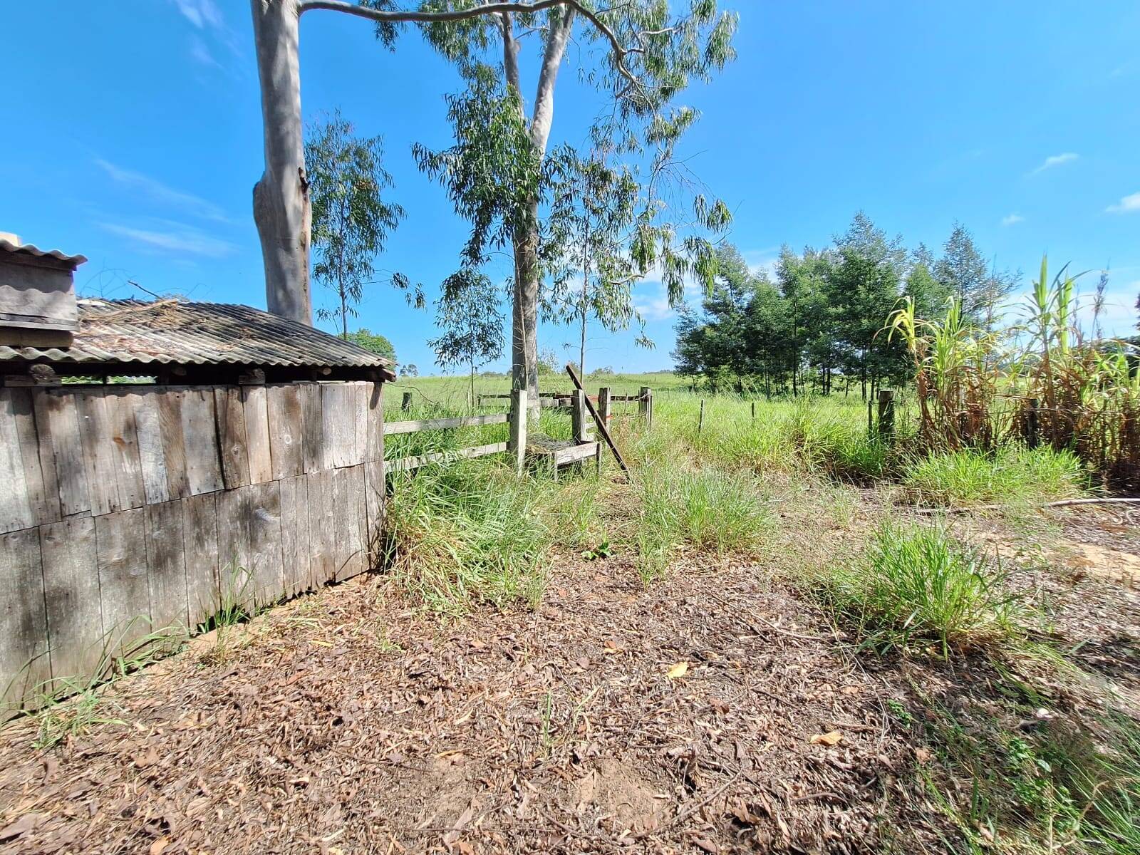 Sítio à venda com 3 quartos, 10500m² - Foto 13