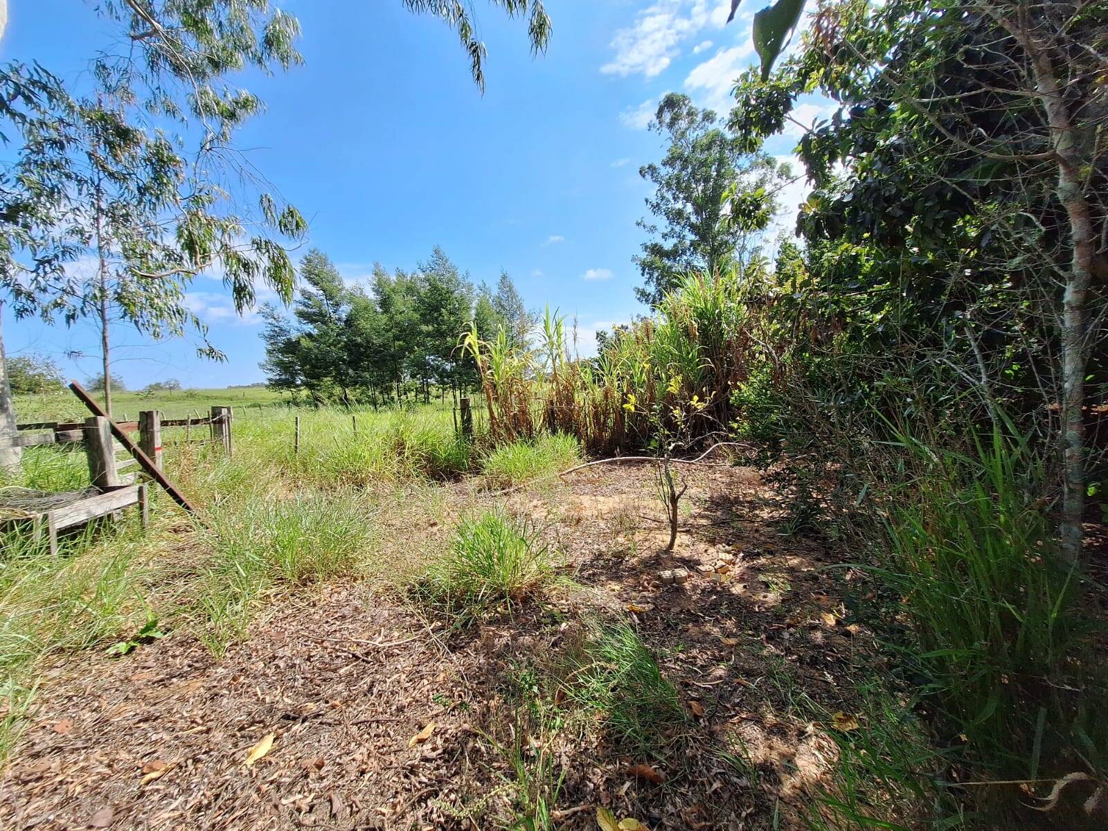 Sítio à venda com 3 quartos, 10500m² - Foto 15