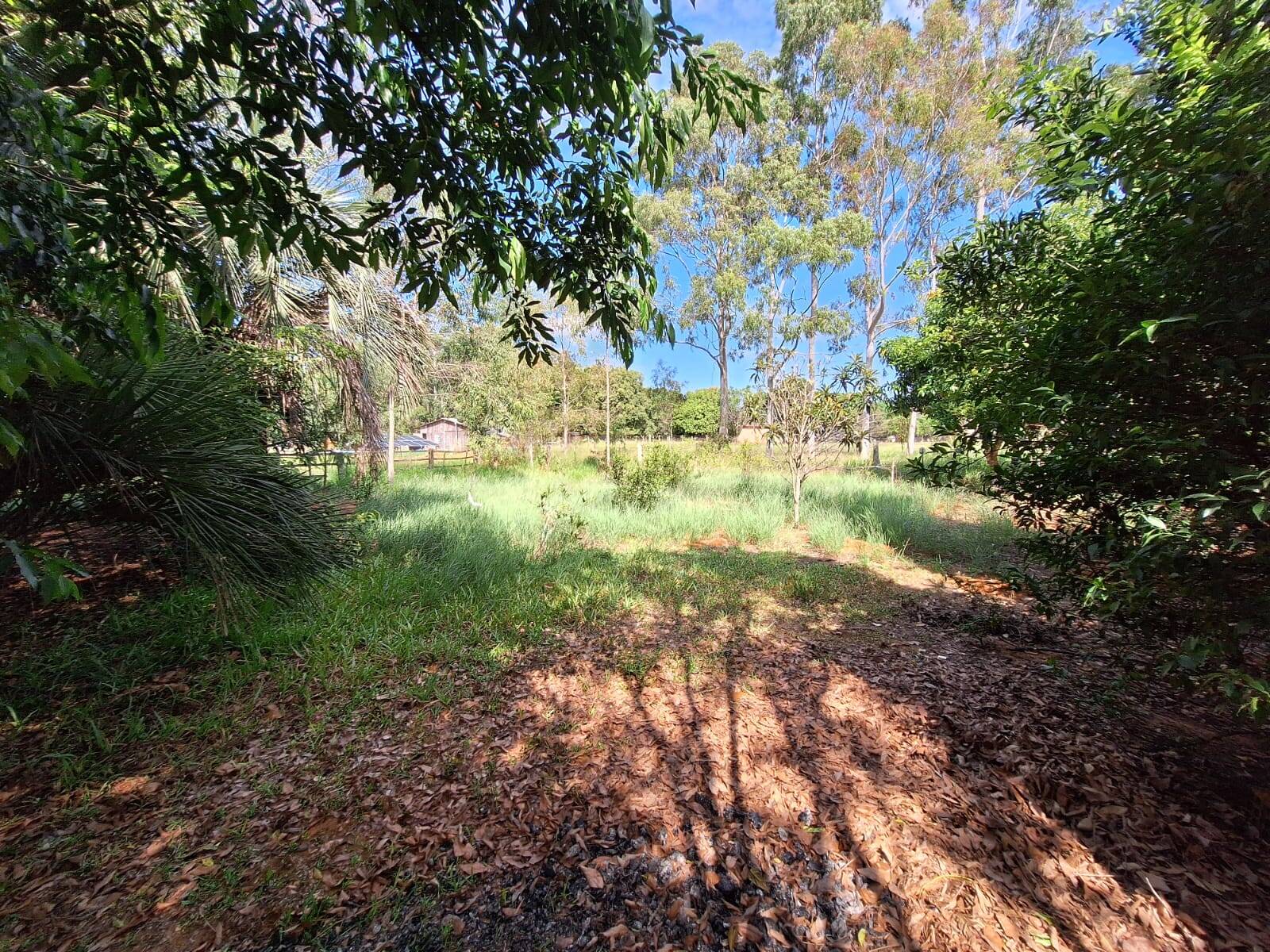 Sítio à venda com 3 quartos, 10500m² - Foto 17