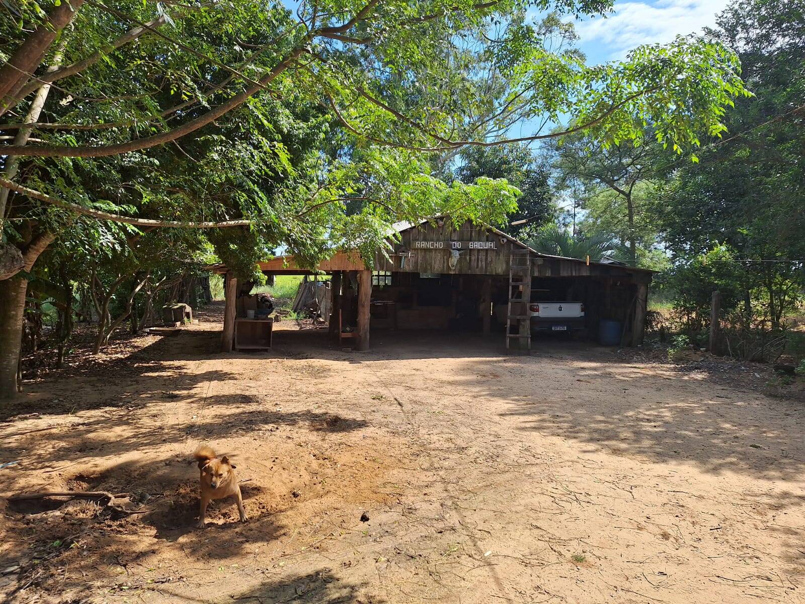 Sítio à venda com 3 quartos, 10500m² - Foto 28