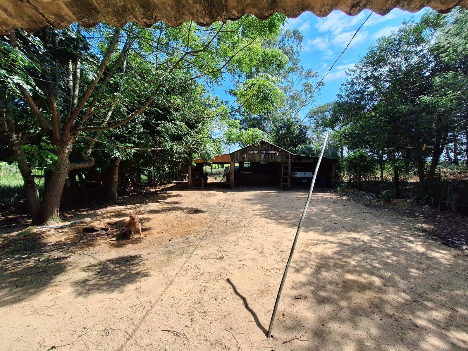 Sítio à venda com 3 quartos, 10500m² - Foto 31