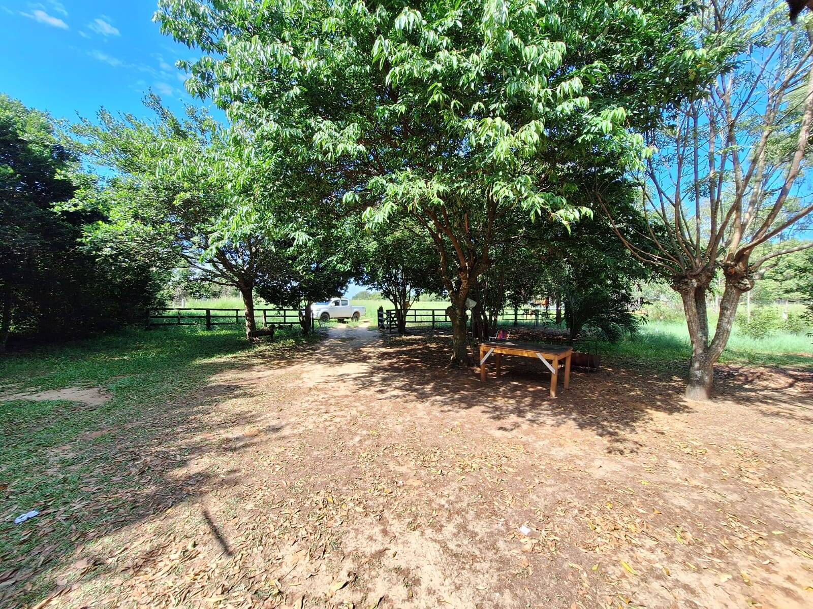 Sítio à venda com 3 quartos, 10500m² - Foto 34