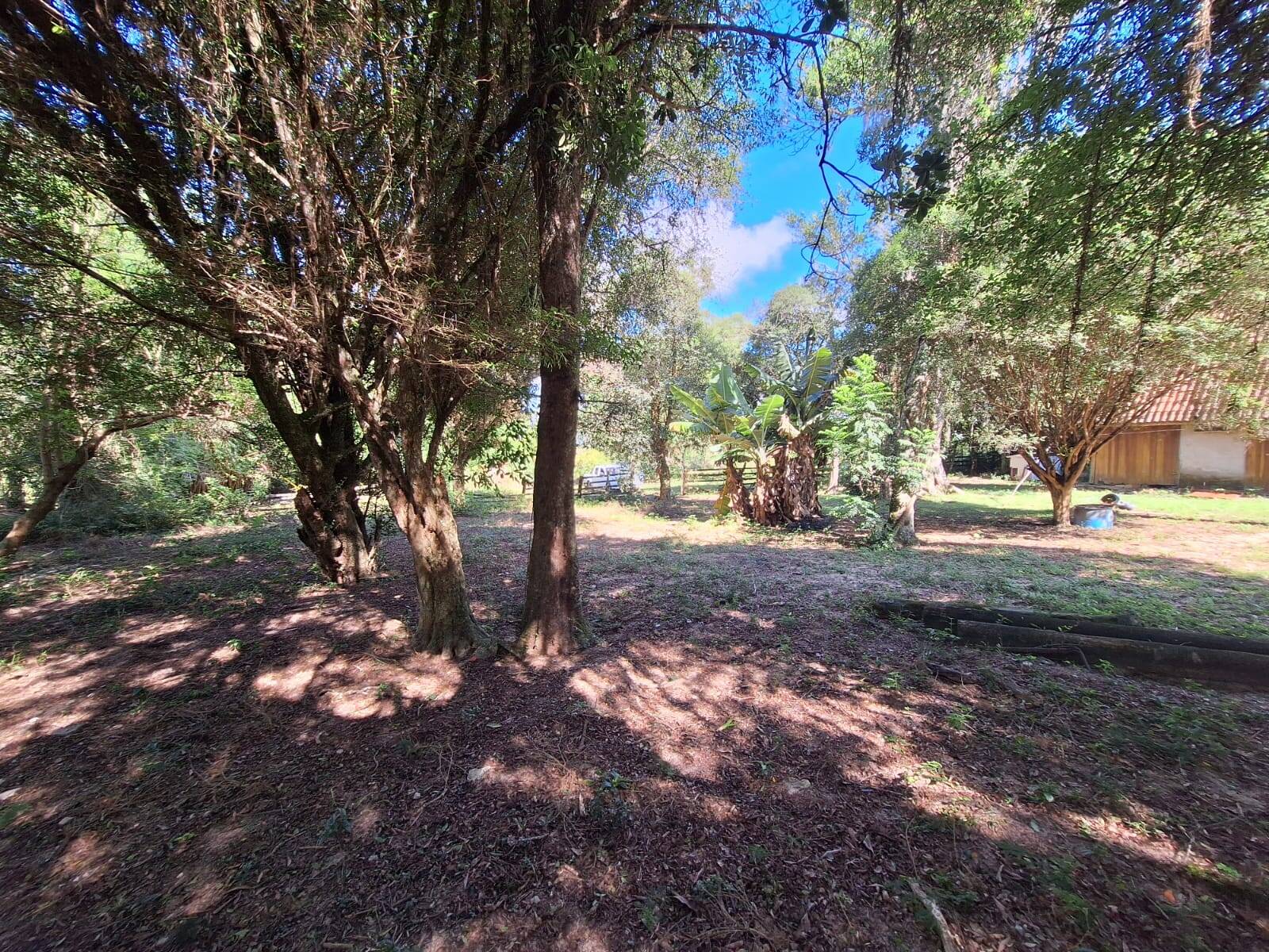 Casa, 2 quartos, 70 m² - Foto 33