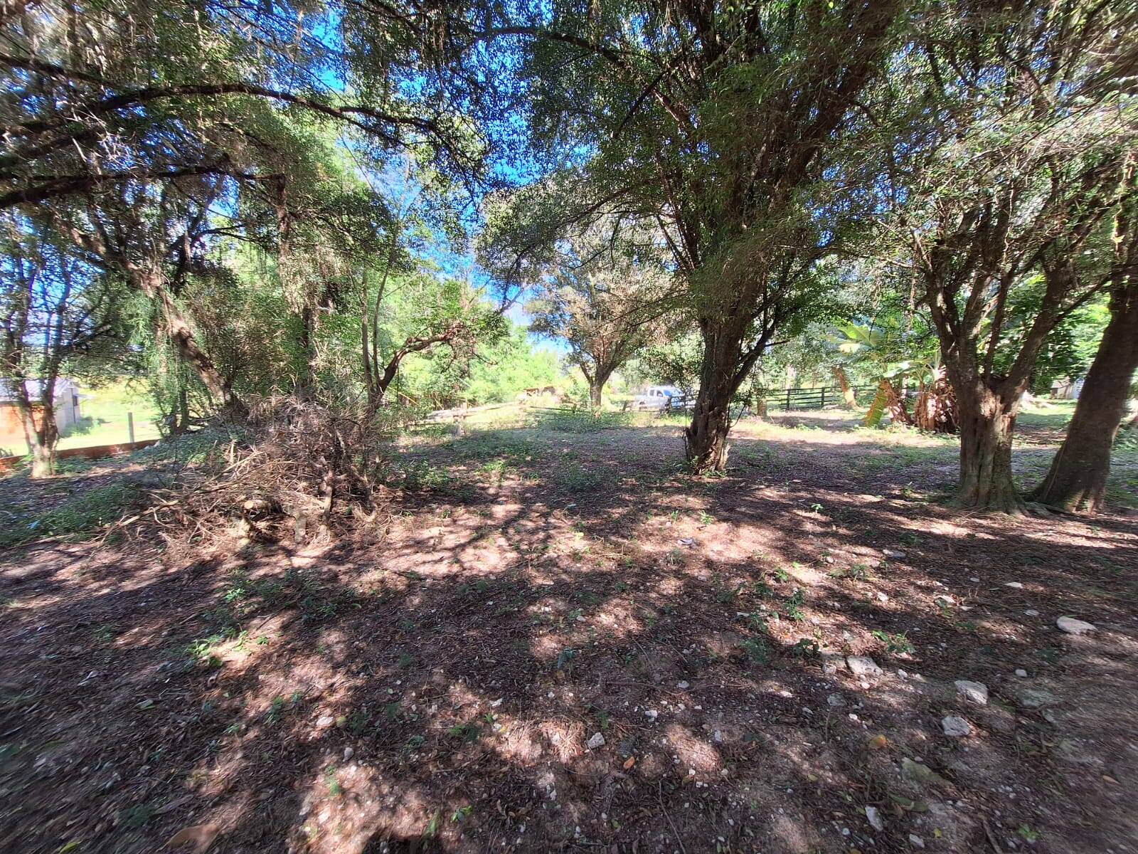 Casa, 2 quartos, 70 m² - Foto 35