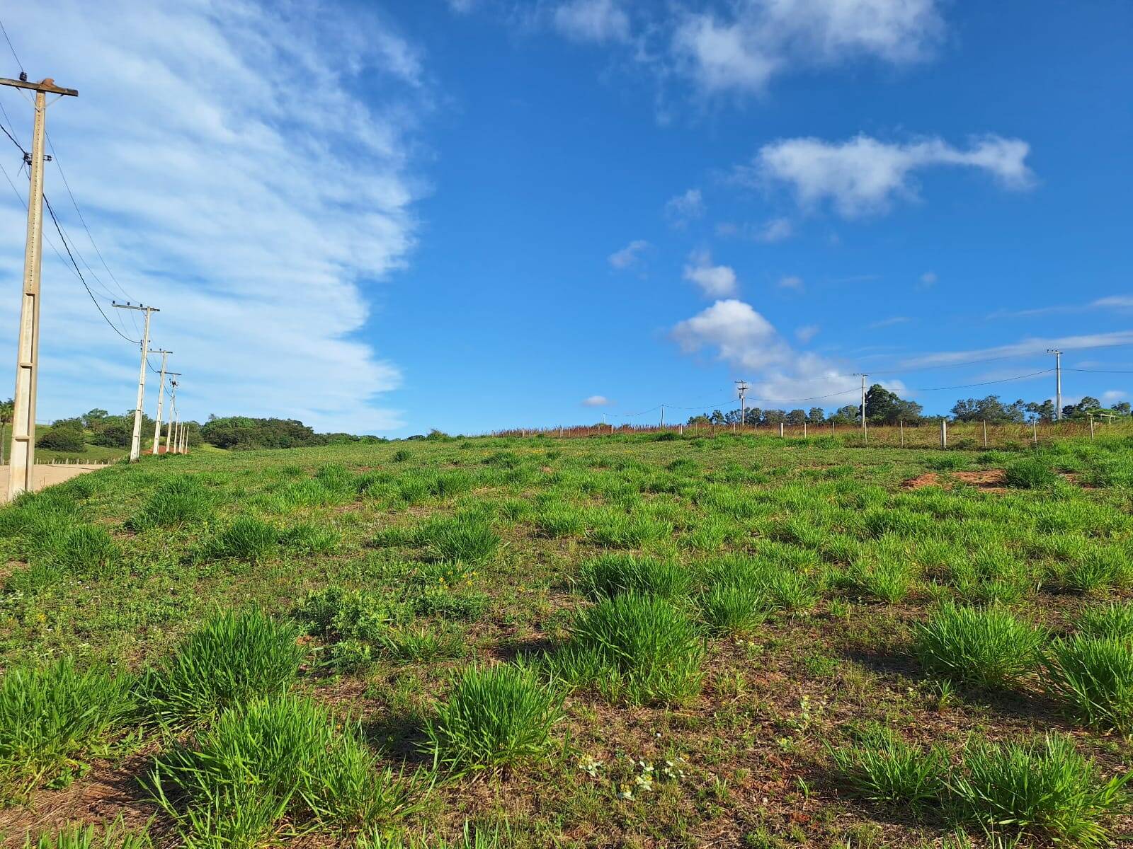 Terreno, 360 m² - Foto 11