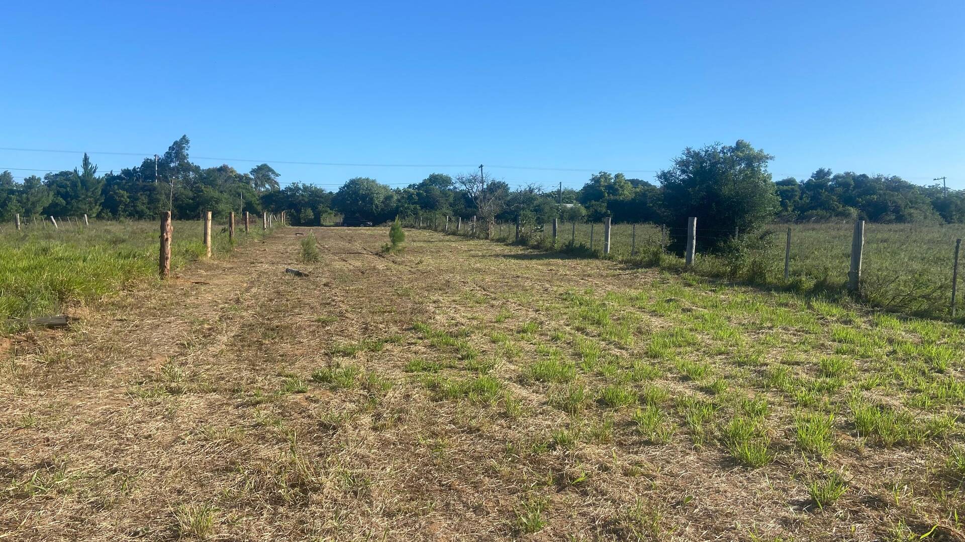 Terreno, 1500 m² - Foto 7