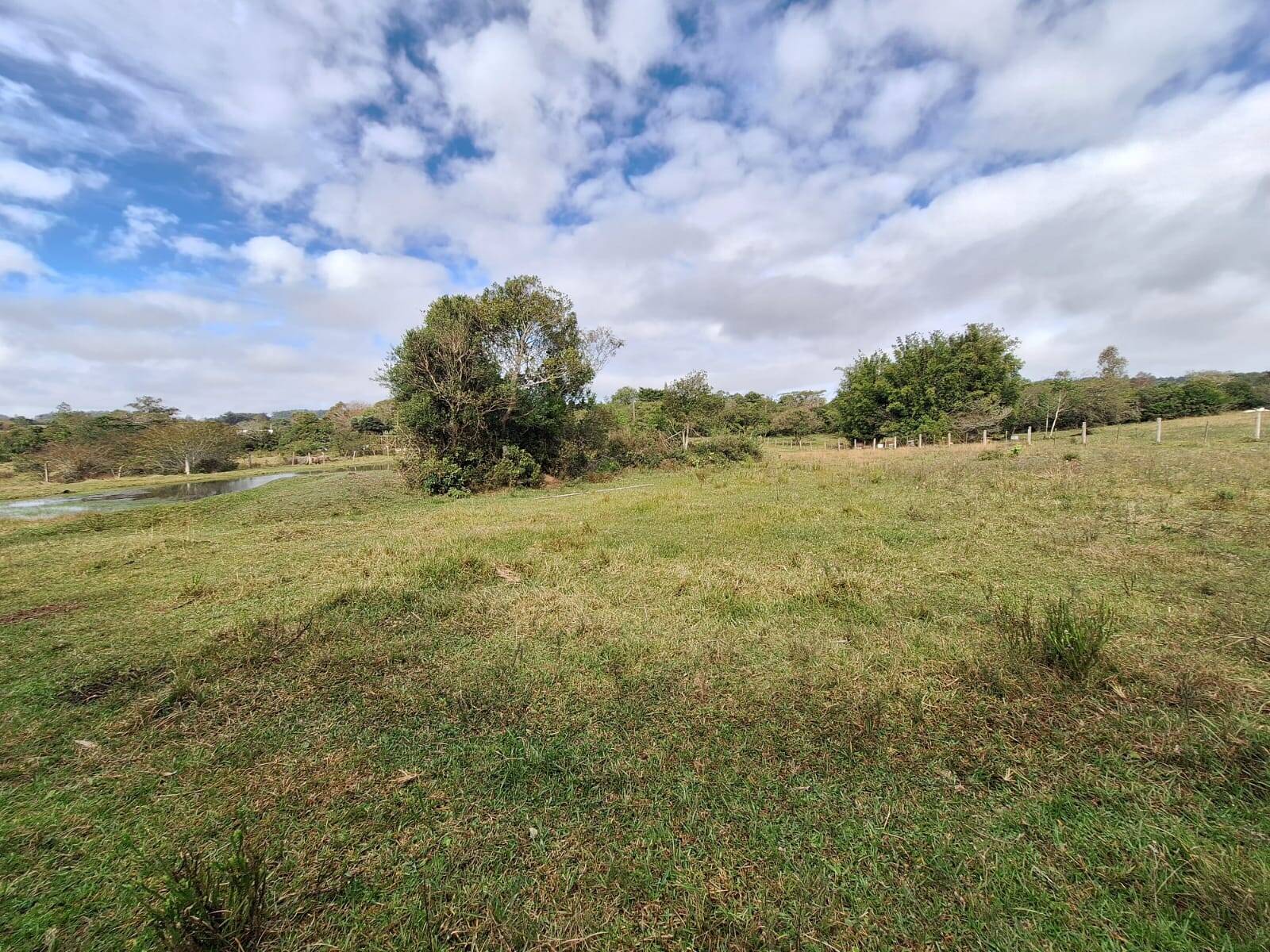 Terreno, 10000 m² - Foto 2