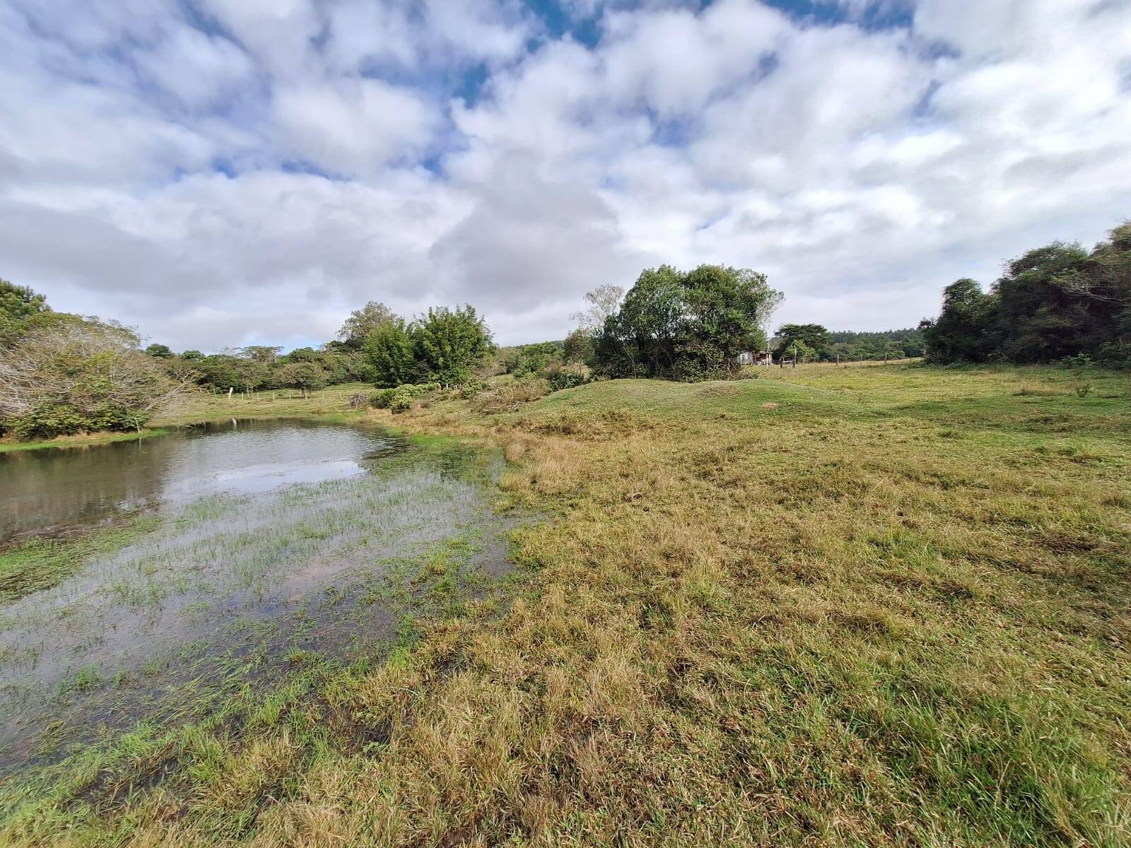 Terreno, 10000 m² - Foto 5