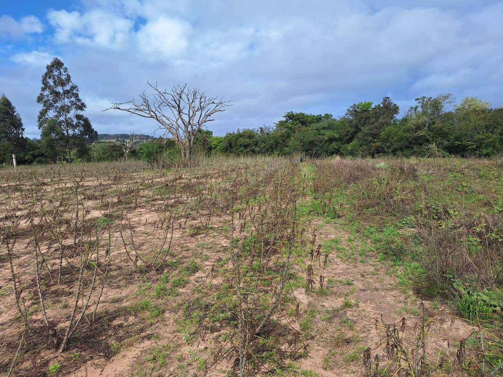 Terreno, 10000 m² - Foto 7