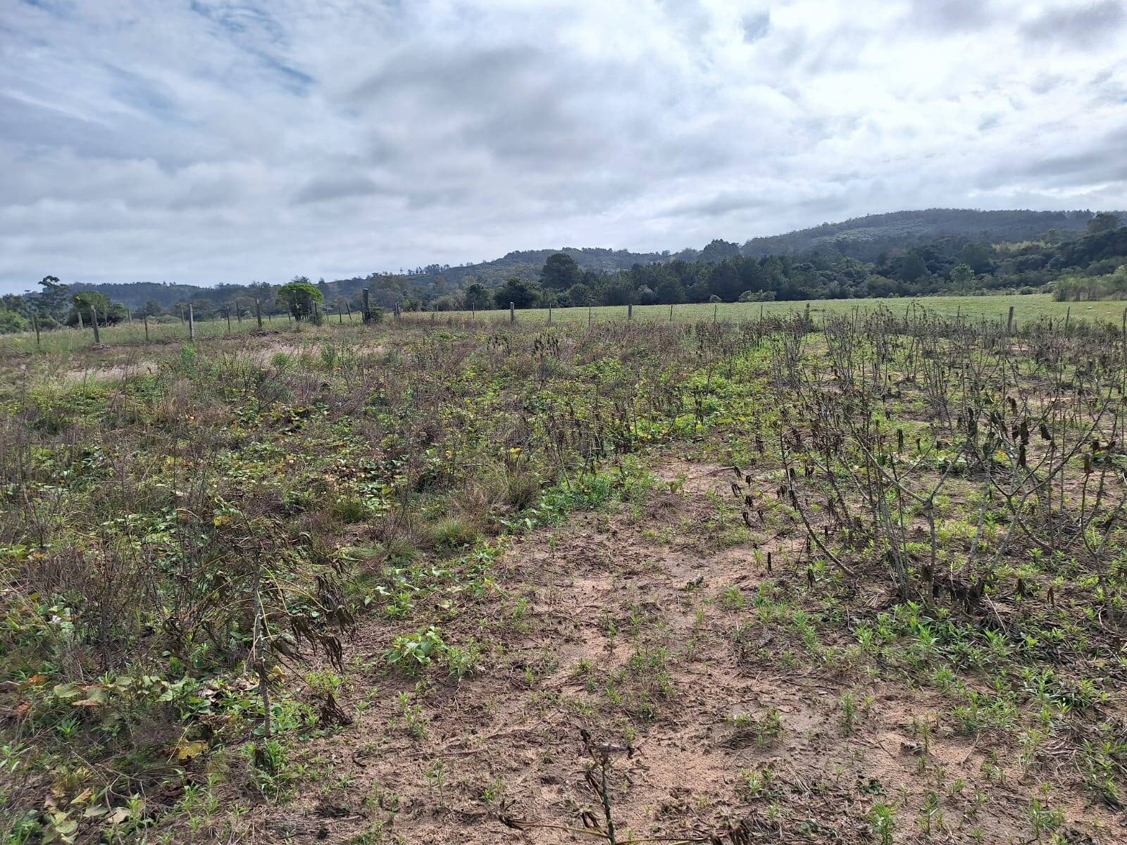 Terreno, 10000 m² - Foto 8