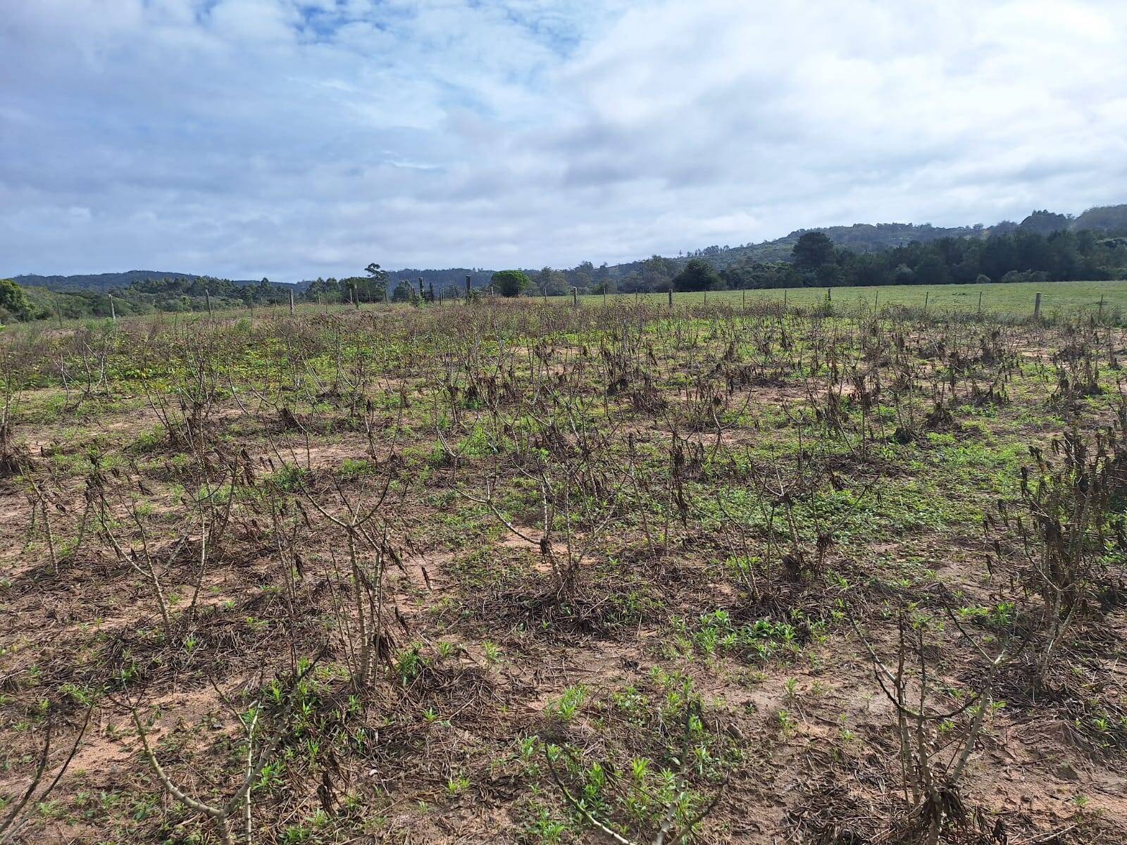 Terreno, 10000 m² - Foto 10