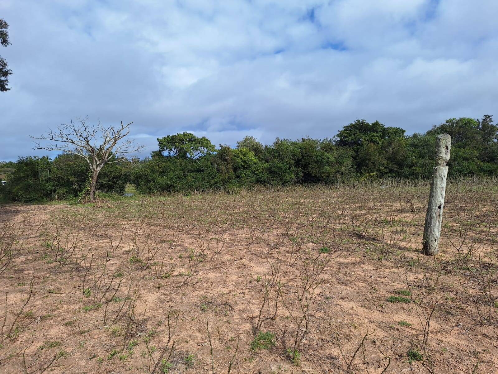 Terreno, 10000 m² - Foto 11