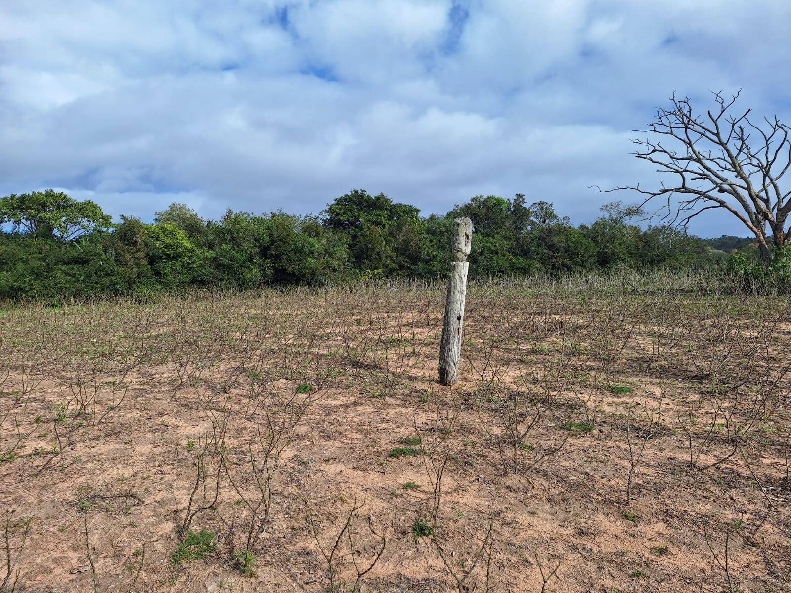 Terreno, 10000 m² - Foto 12