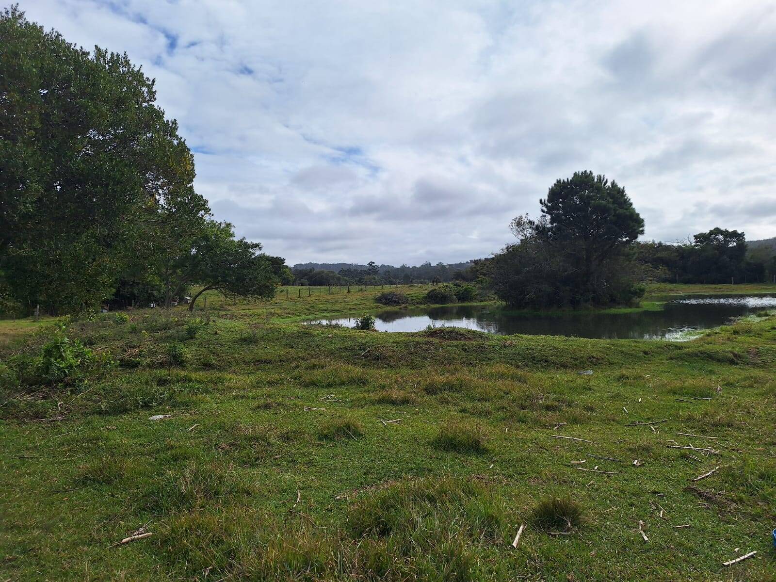 Terreno, 10000 m² - Foto 16