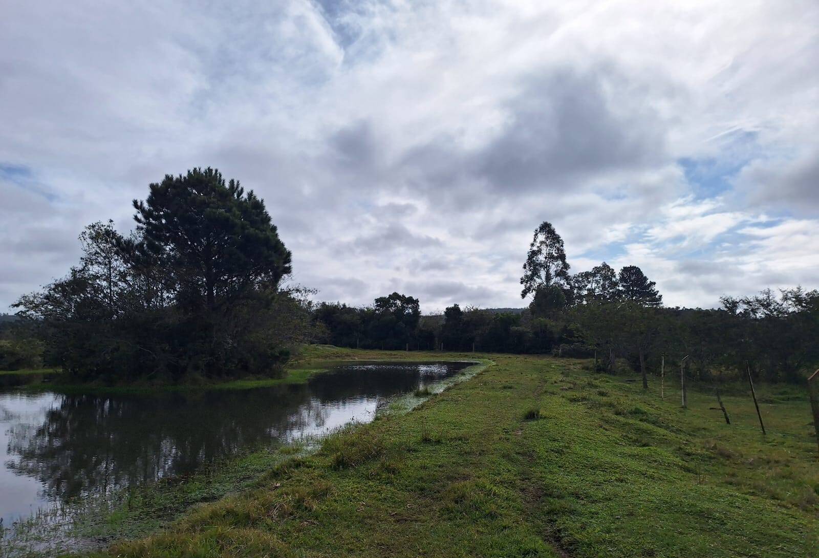 Terreno, 10000 m² - Foto 3