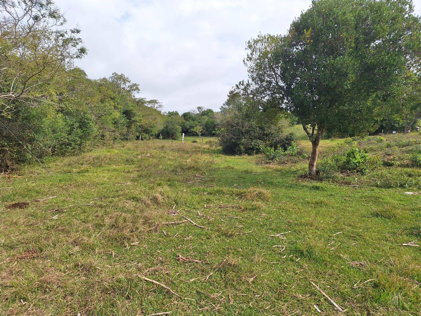 Terreno, 10000 m² - Foto 4