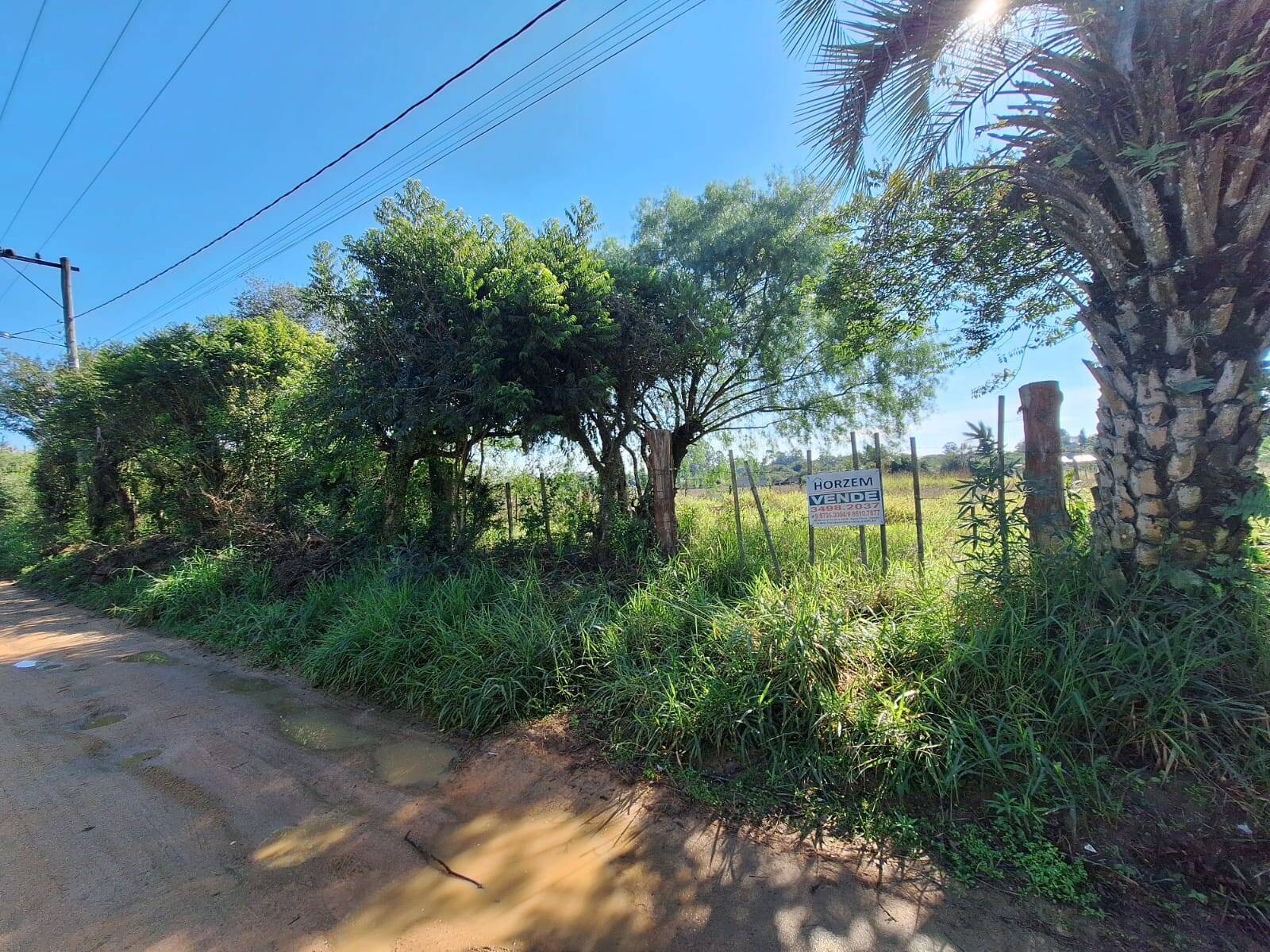 Terreno, 1500 m² - Foto 11