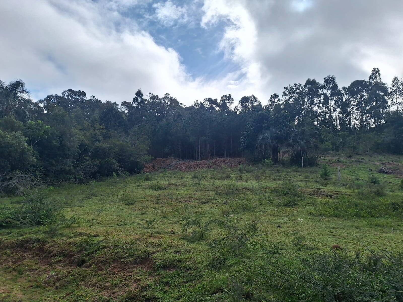 Terreno, 2 hectares - Foto 2