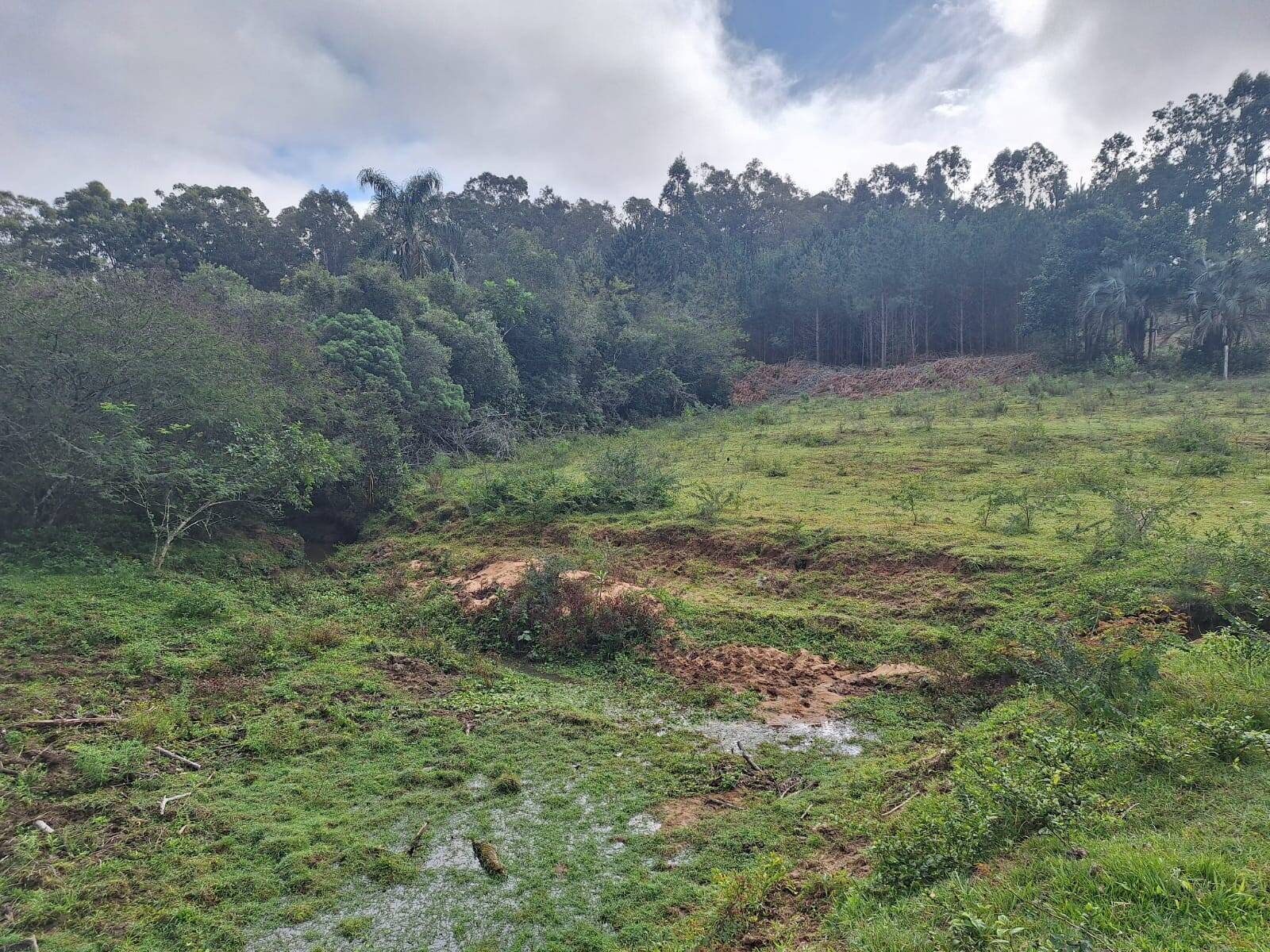 Terreno, 2 hectares - Foto 3