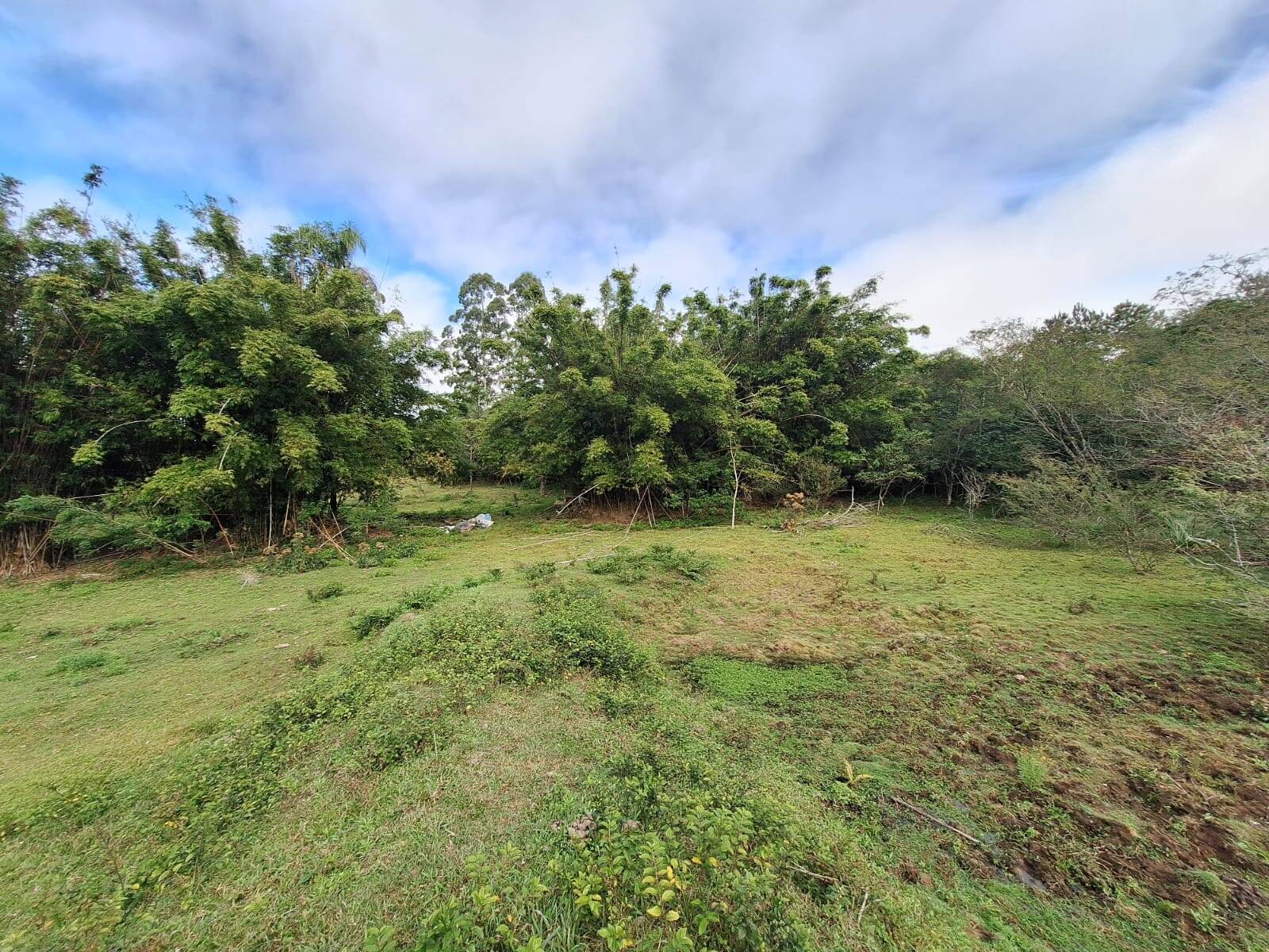 Terreno, 2 hectares - Foto 4