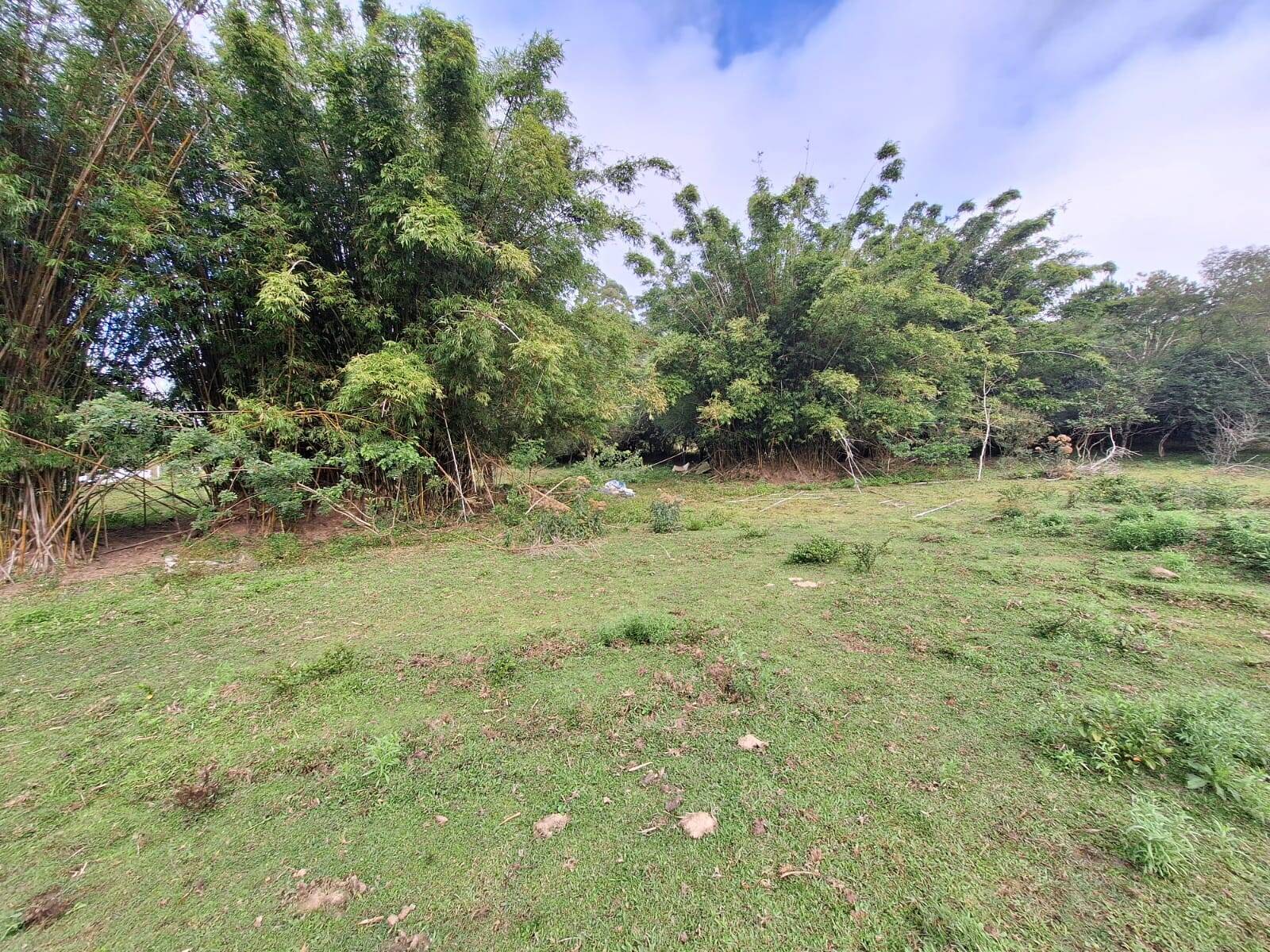 Terreno, 2 hectares - Foto 5