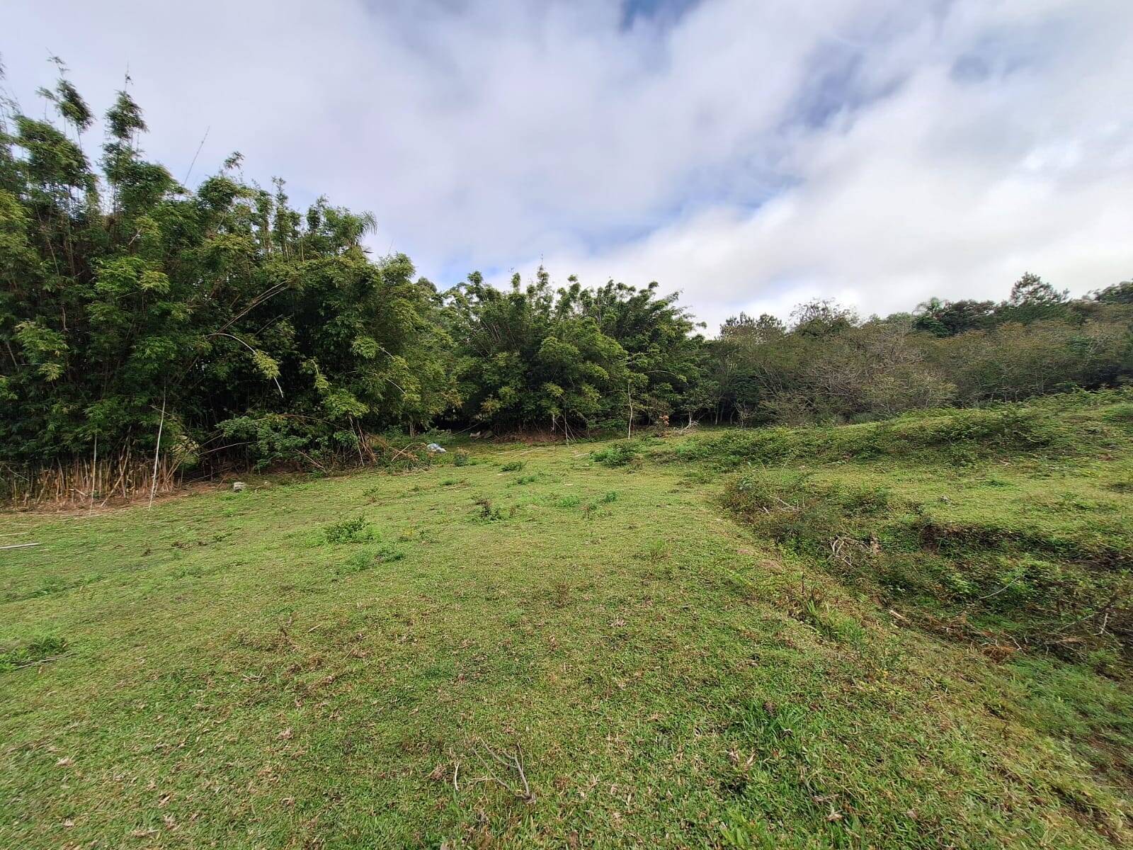 Terreno, 2 hectares - Foto 6