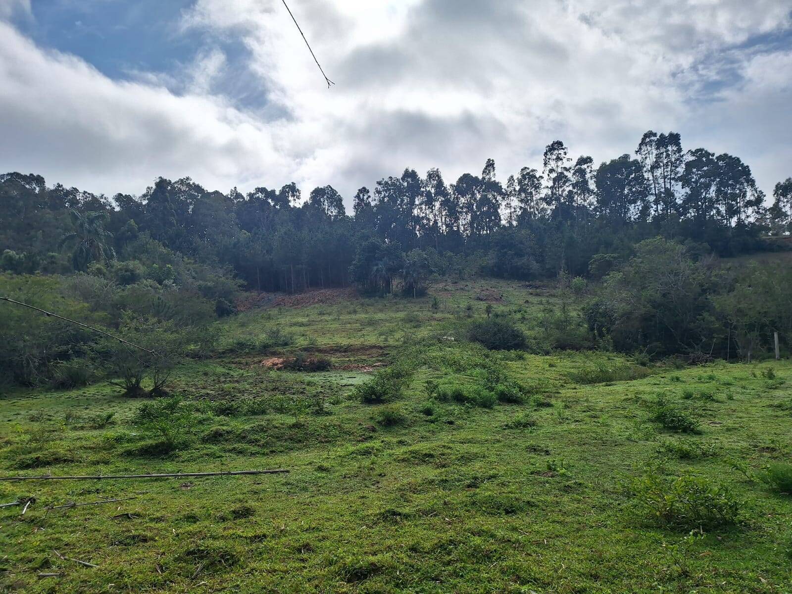 Terreno, 2 hectares - Foto 7