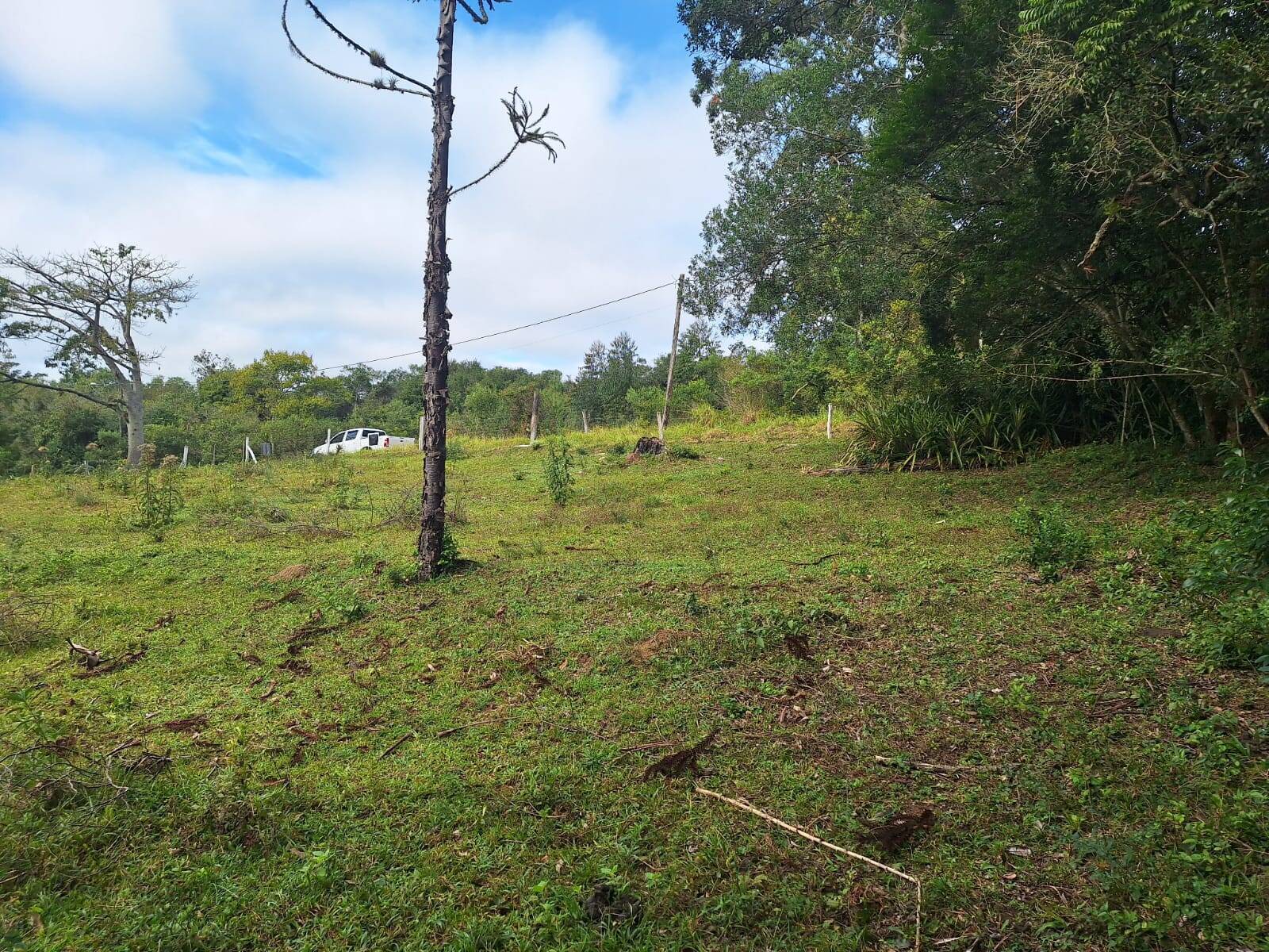 Terreno, 2 hectares - Foto 8