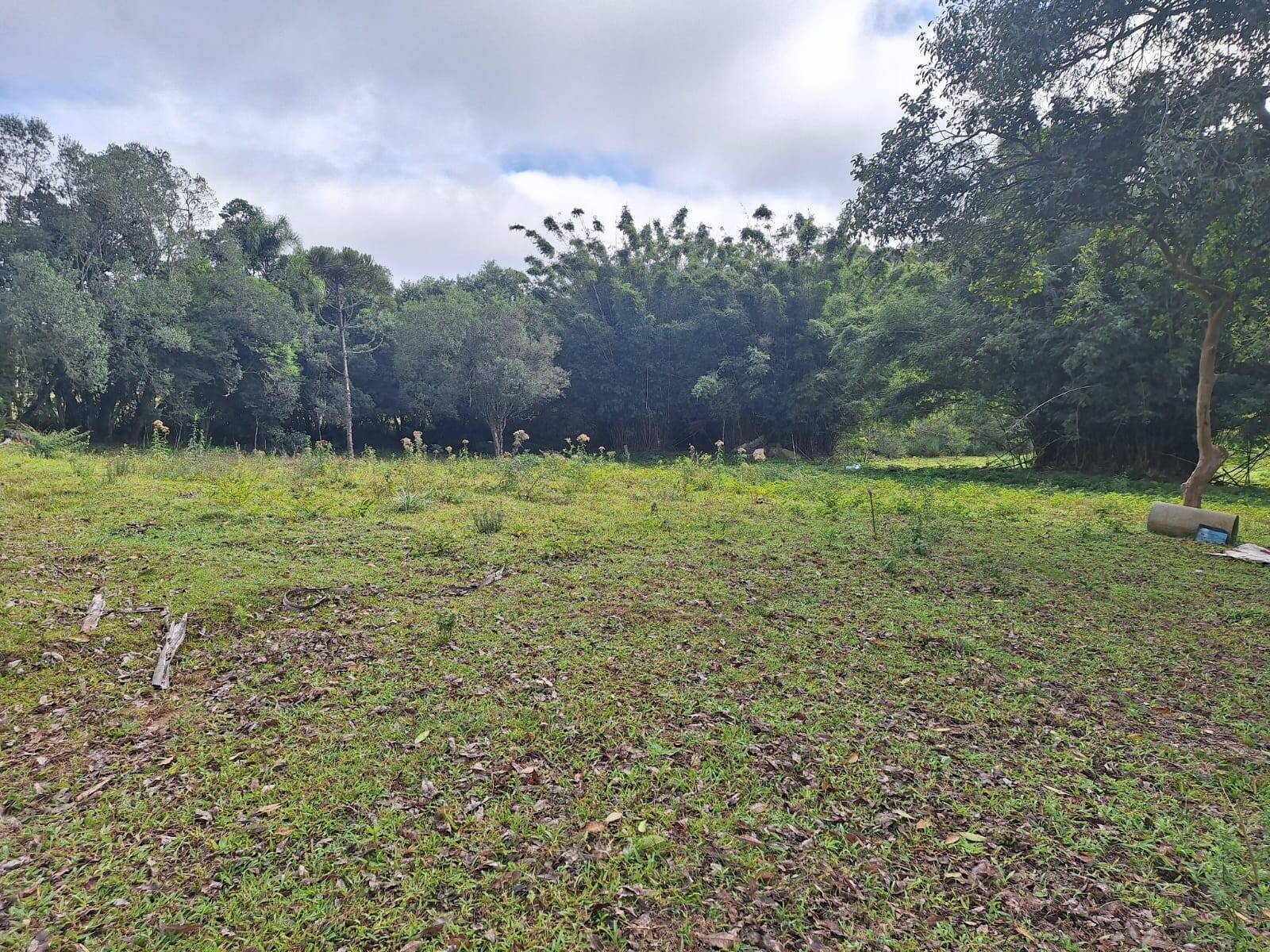 Terreno, 2 hectares - Foto 9