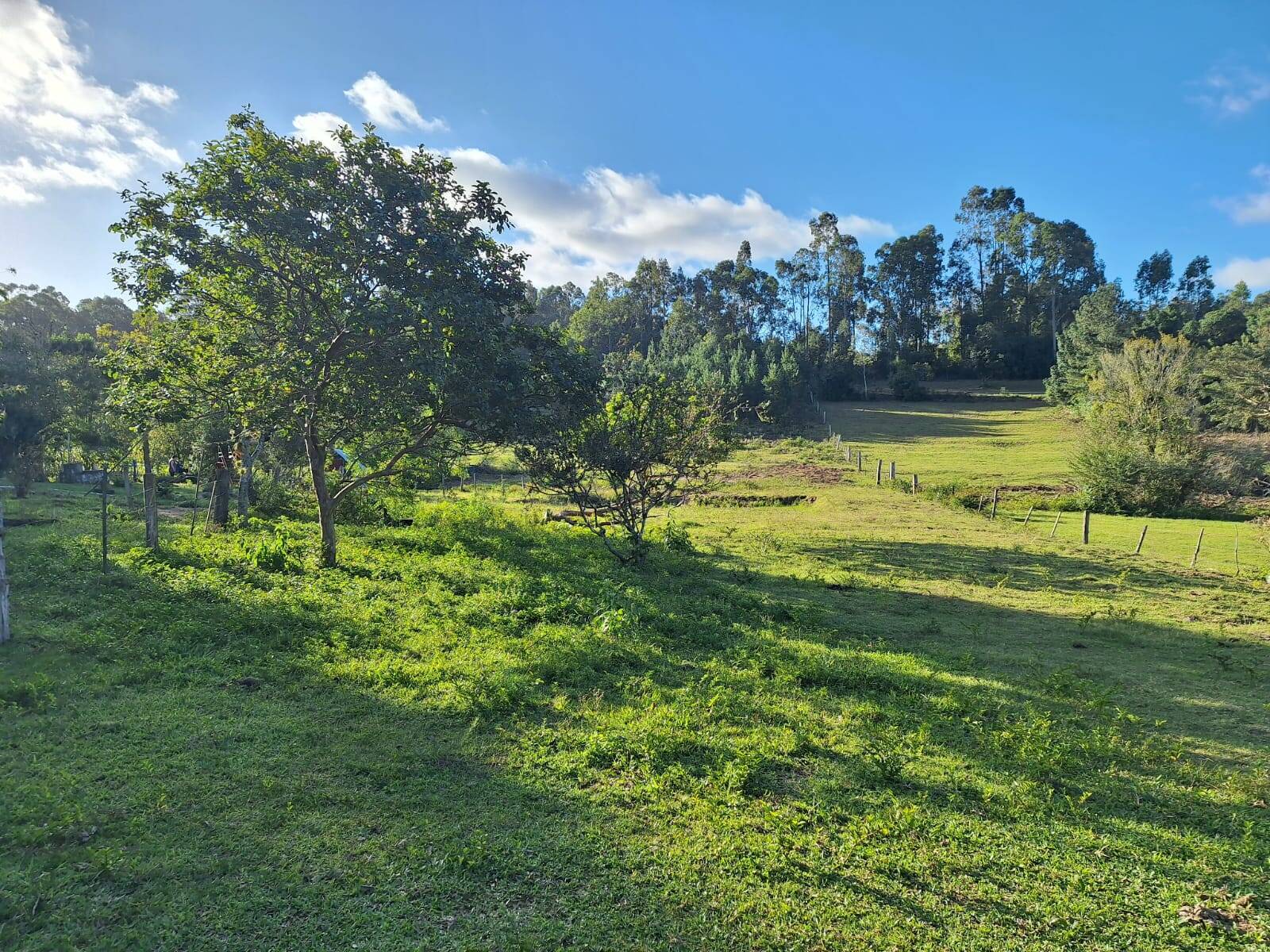 #PVM009 - Sítio para Venda em Viamão - RS