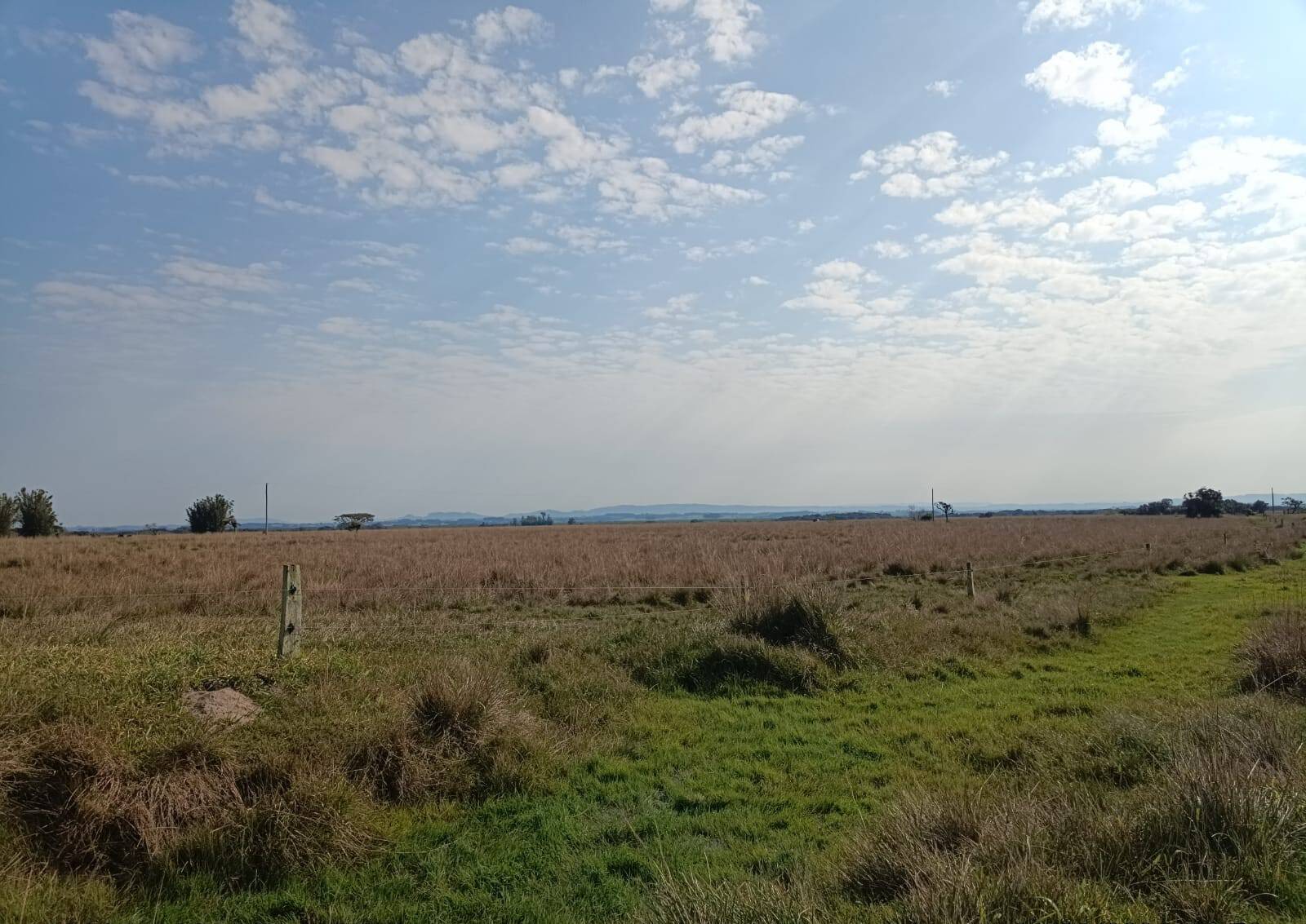 Terreno, 583 m² - Foto 4