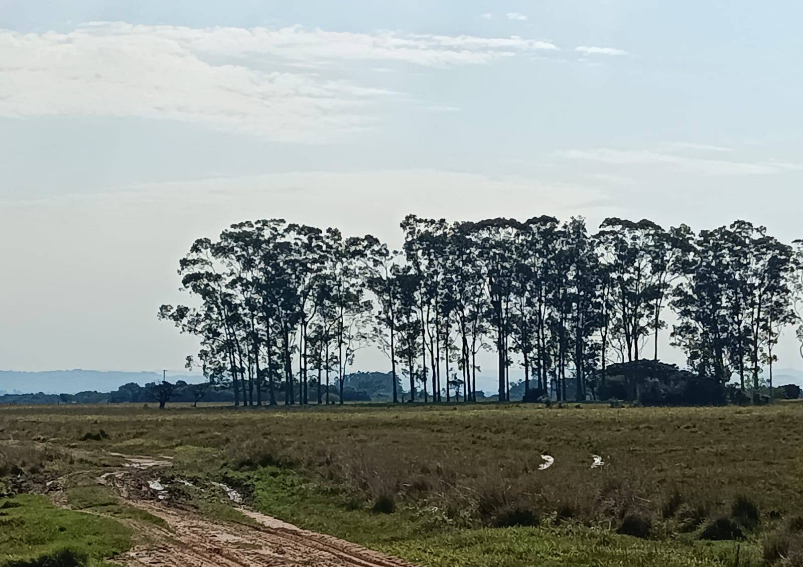 Terreno, 583 m² - Foto 10