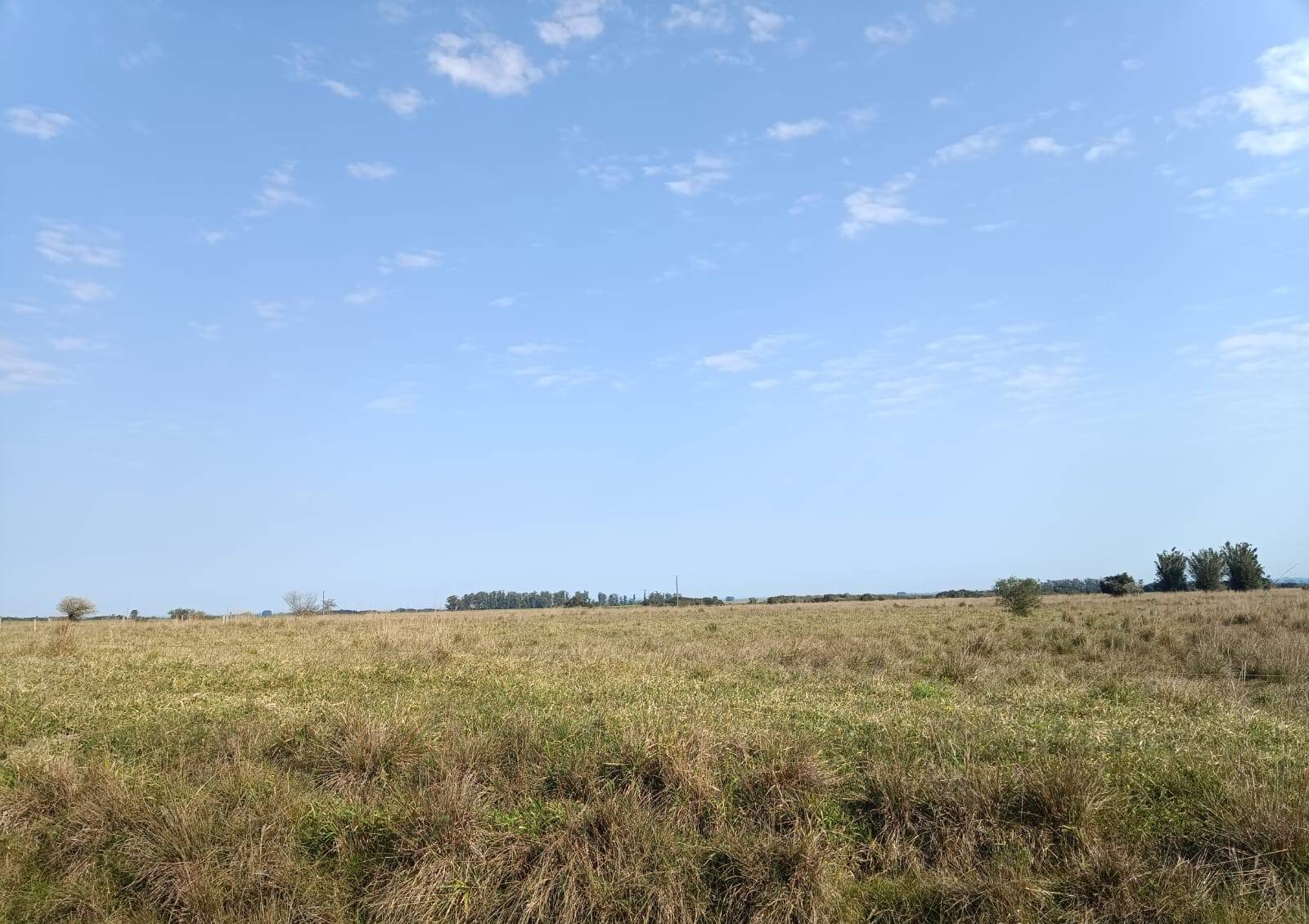 Terreno, 583 m² - Foto 3