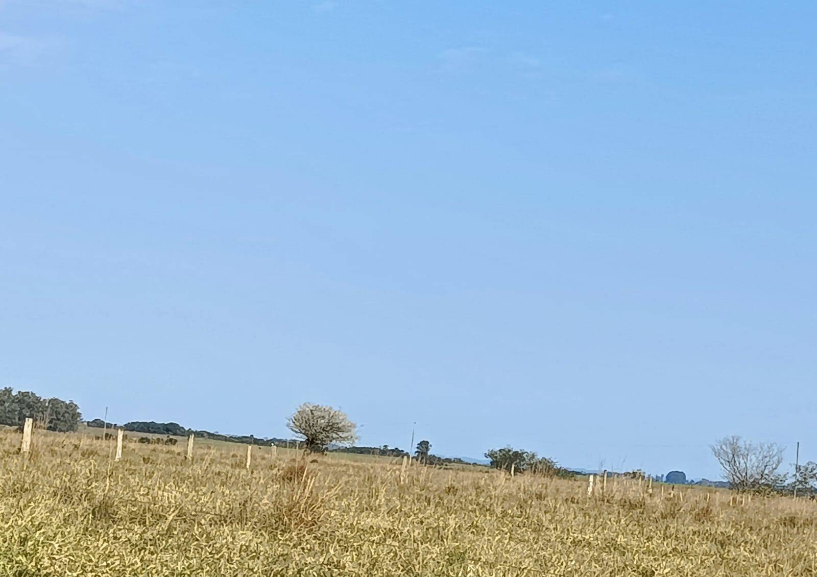 Terreno, 583 m² - Foto 7