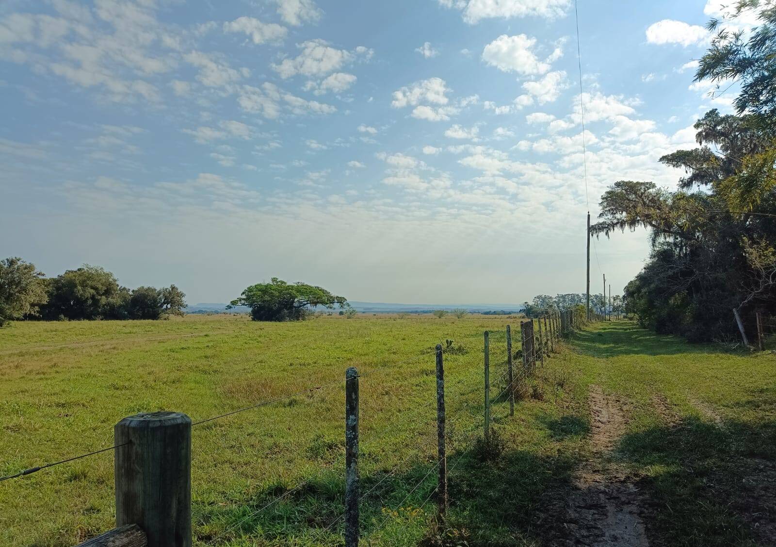 Terreno, 583 m² - Foto 9