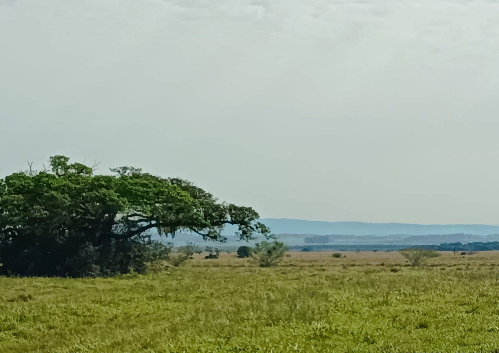 Terreno, 583 m² - Foto 8