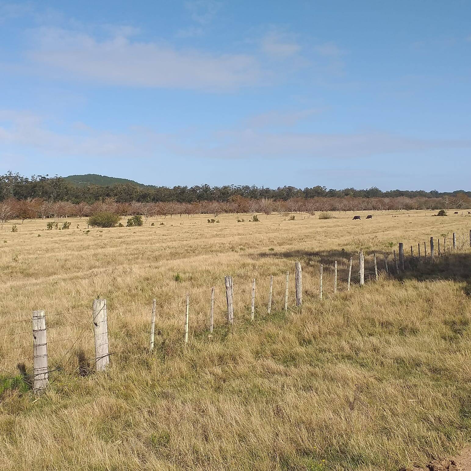 Terreno, 385 m² - Foto 1