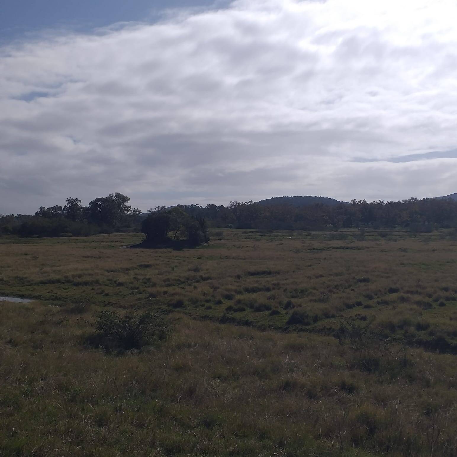 Terreno, 385 m² - Foto 2