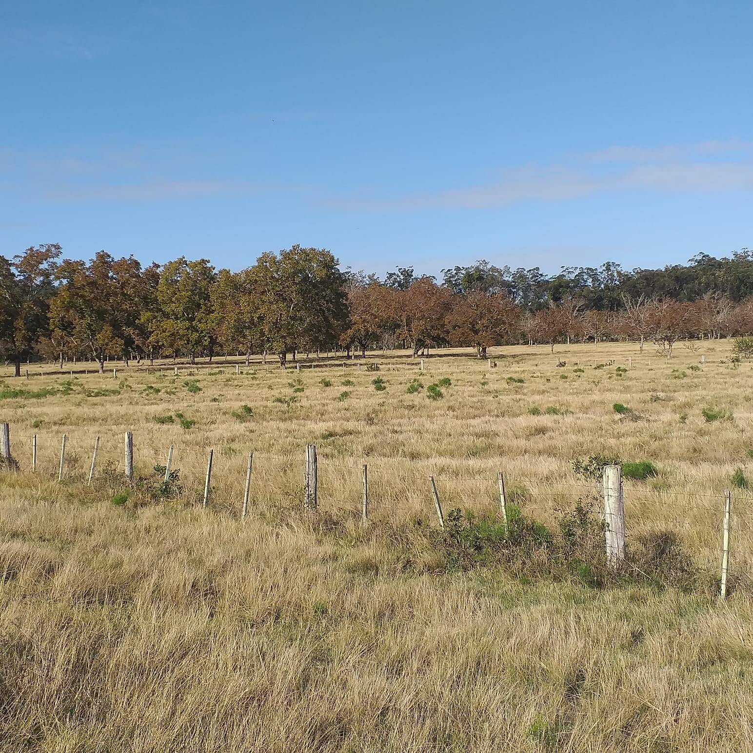 Terreno, 385 m² - Foto 4