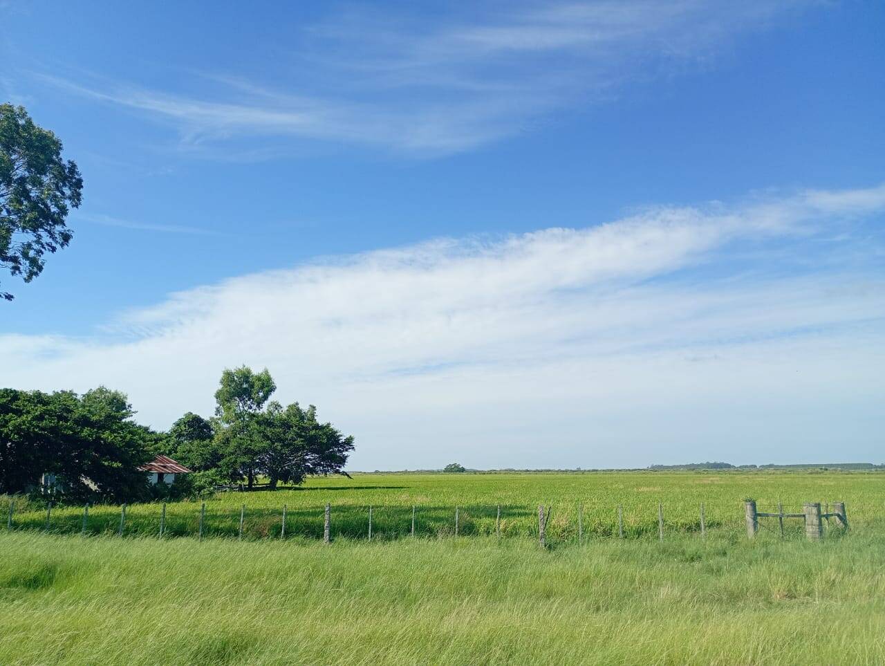 #FZD003 - Fazenda para Venda em Arambaré - RS
