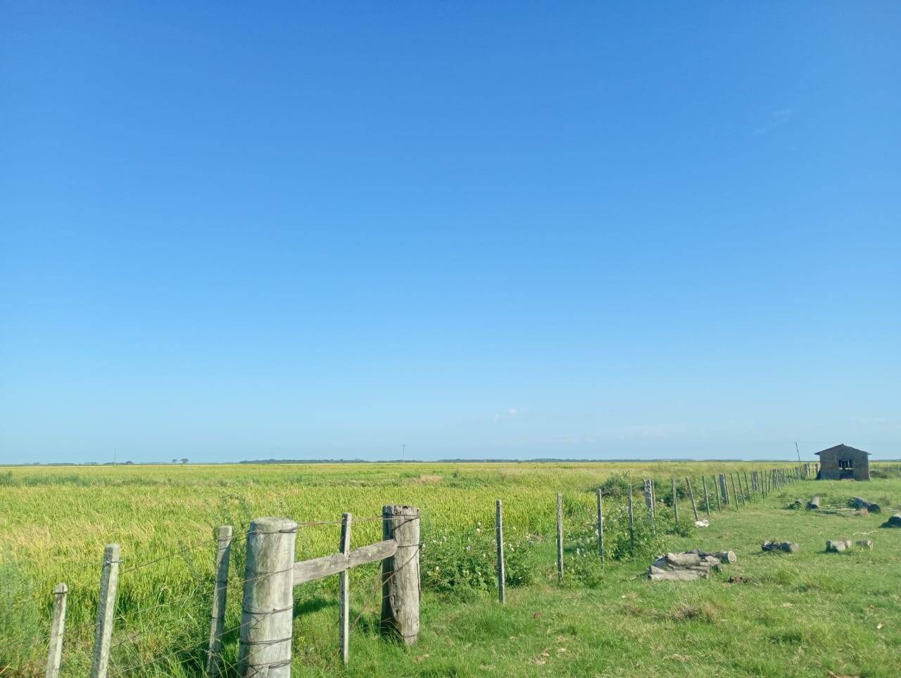 Terreno, 173 m² - Foto 3