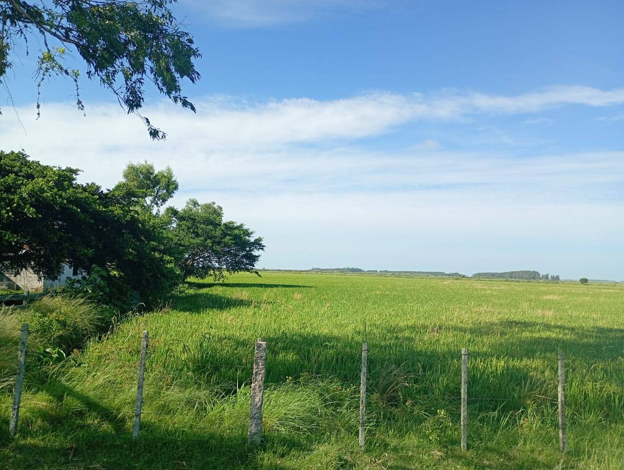 Terreno, 173 m² - Foto 5