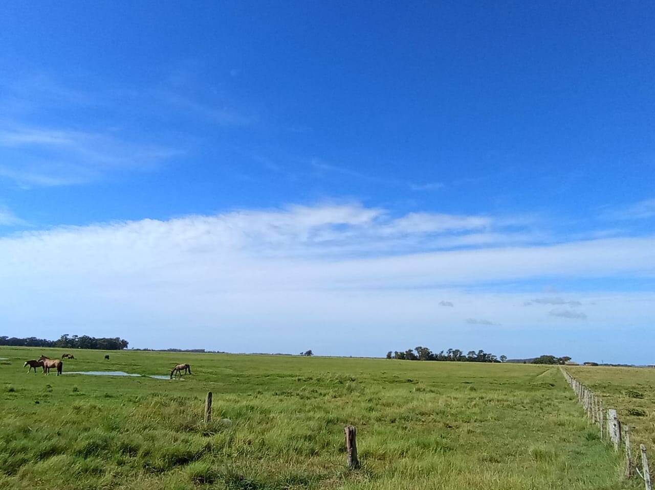 Terreno, 173 m² - Foto 6