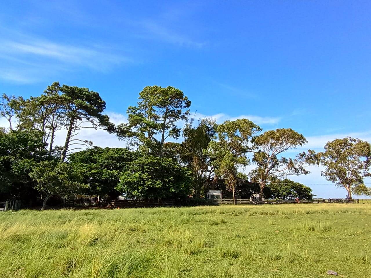 Terreno, 173 m² - Foto 7