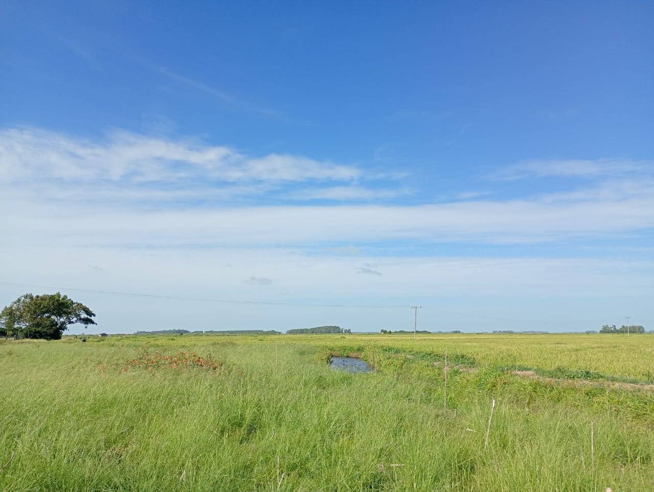 Terreno, 173 m² - Foto 2