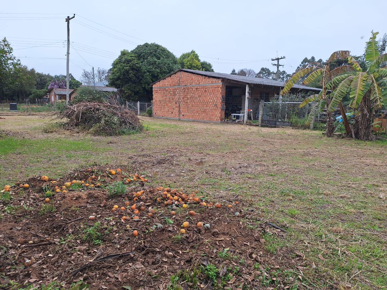 Terreno, 450 m² - Foto 5