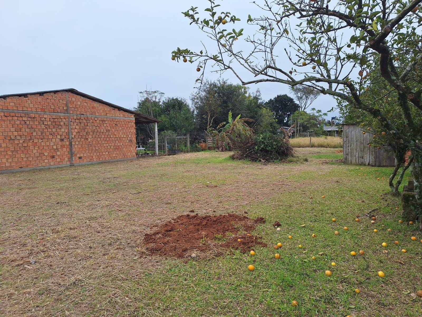 Terreno, 450 m² - Foto 7